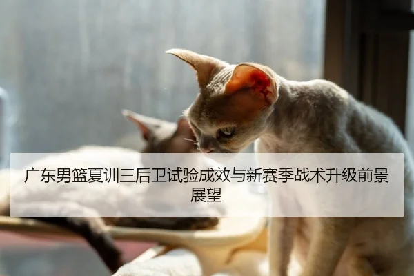 广东男篮夏训三后卫试验成效与新赛季战术升级前景展望
